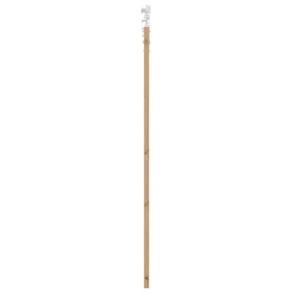 Schuifdeur Naturel 61 X 198,5 Cm Massief Grenenhout En Glas