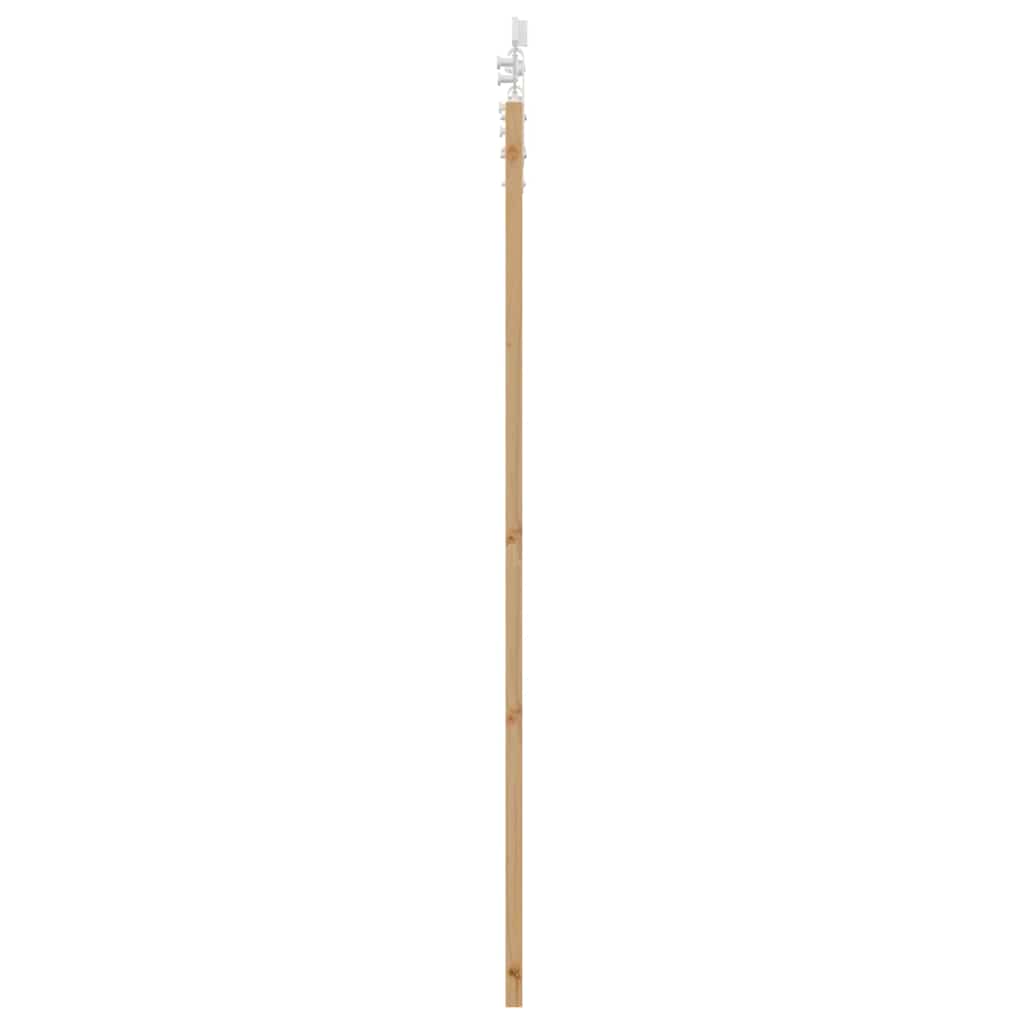 Schuifdeur Naturel 61 X 198,5 Cm Massief Grenenhout En Glas