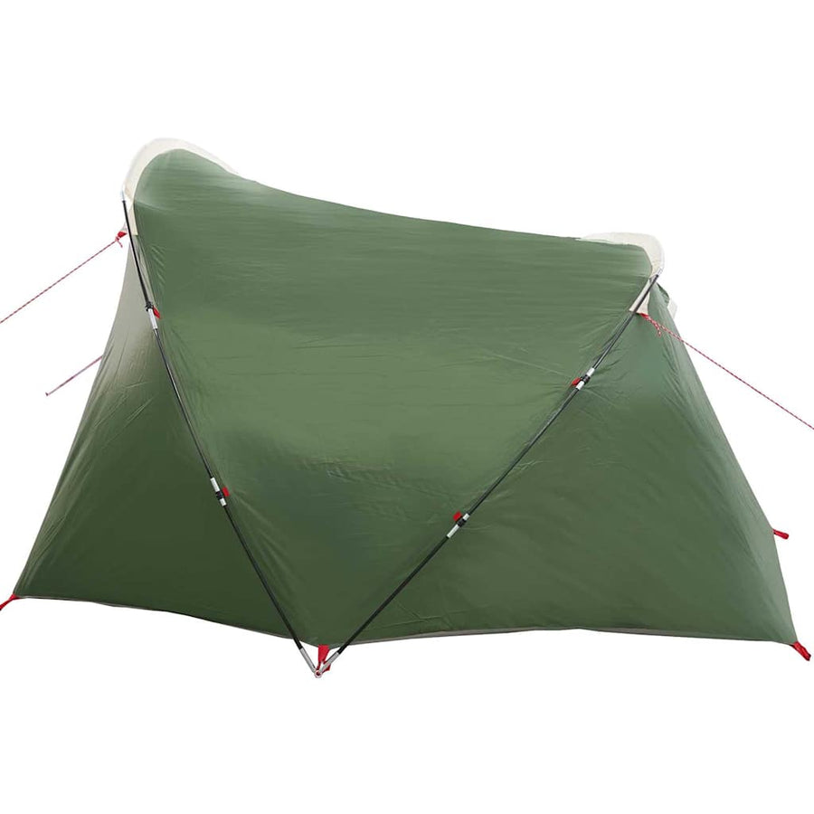Tunneltent met dak met opslag Groen en Wit 318 x 275 x 140 cm
