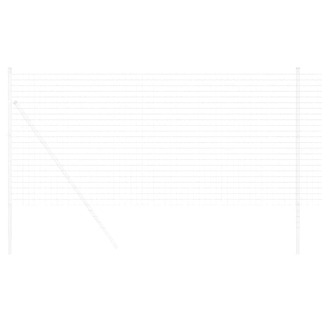 Euro Hek 1 x 10 m PVC-gecoat ijzer