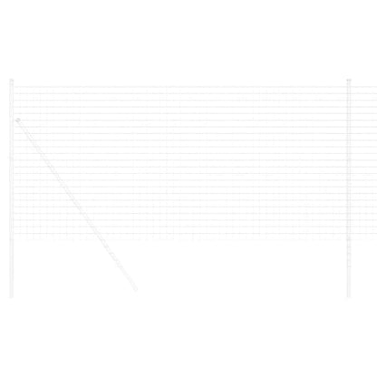 Euro Hek 1 x 10 m PVC-gecoat ijzer