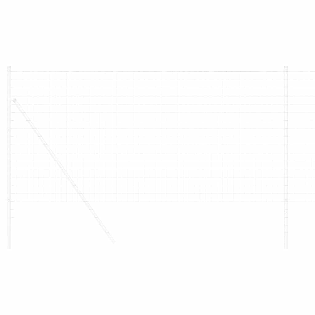 Euro Hek 1 x 10 m PVC-gecoat ijzer