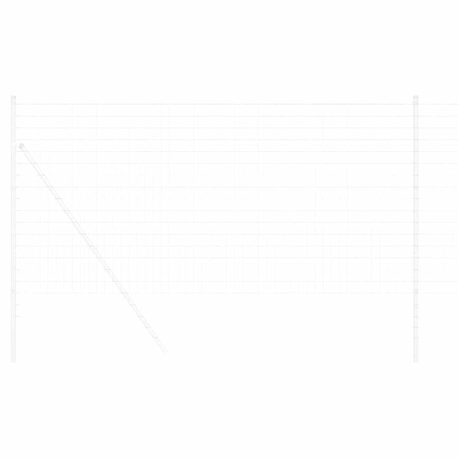 Euro Hek 1 x 10 m PVC-gecoat ijzer
