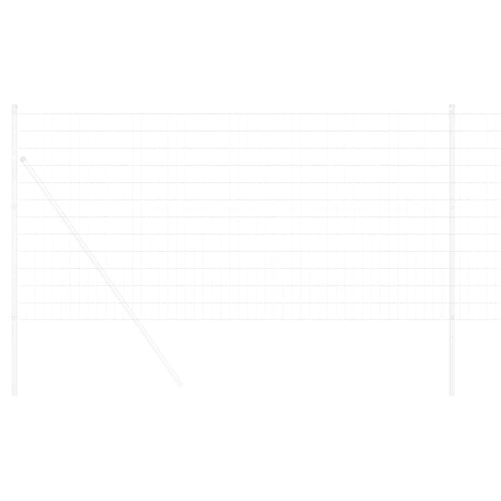 Euro Hek 1 x 25 m PVC-gecoat ijzer