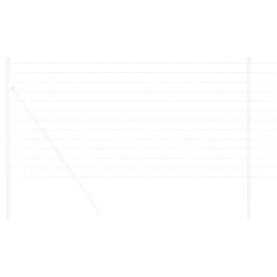 Euro Hek 1 x 25 m PVC-gecoat ijzer