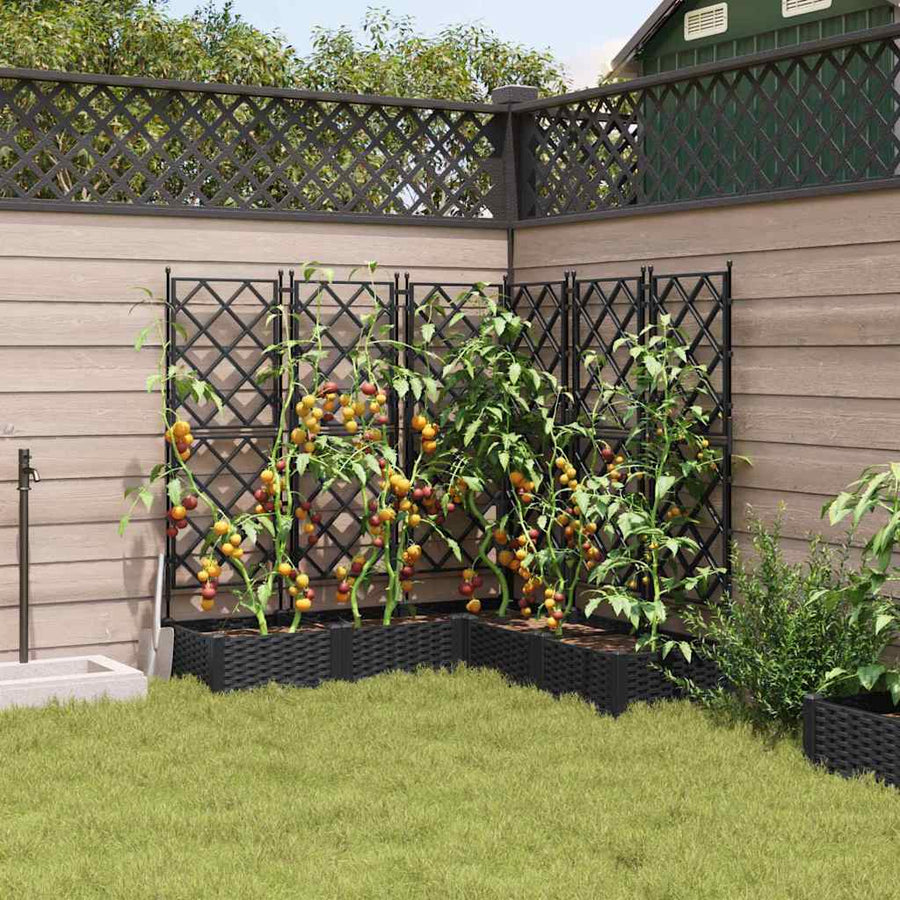 Tuin Bloempot 5 pcs Zwart 120 x 120 x 125,5 cm Staal