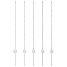 Hekpalen 10 Pcs Zilver 100 Cm Gegalvaniseerd Staal