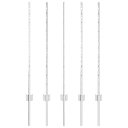 Hekpalen 10 Pcs Zilver 100 Cm Gegalvaniseerd Staal