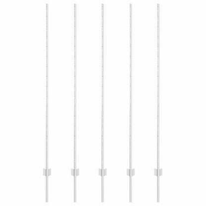 Hekpalen 10 Pcs Zilver 160 Cm Gegalvaniseerd Staal