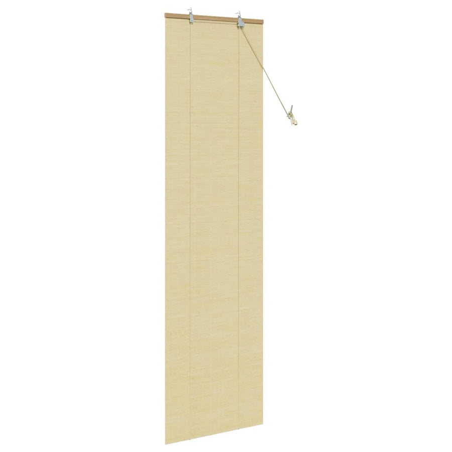 Raambuiten & Gordijnen met gordijnen Naturel 60 x 220 cm Bamboe