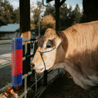 Vee borstel 50x17x9 cm rood blauw kunststof staal