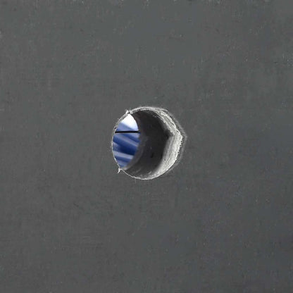 Vee borstels Rood en blauw 50 x 10 x 6.5 cm Kunststof en Staal