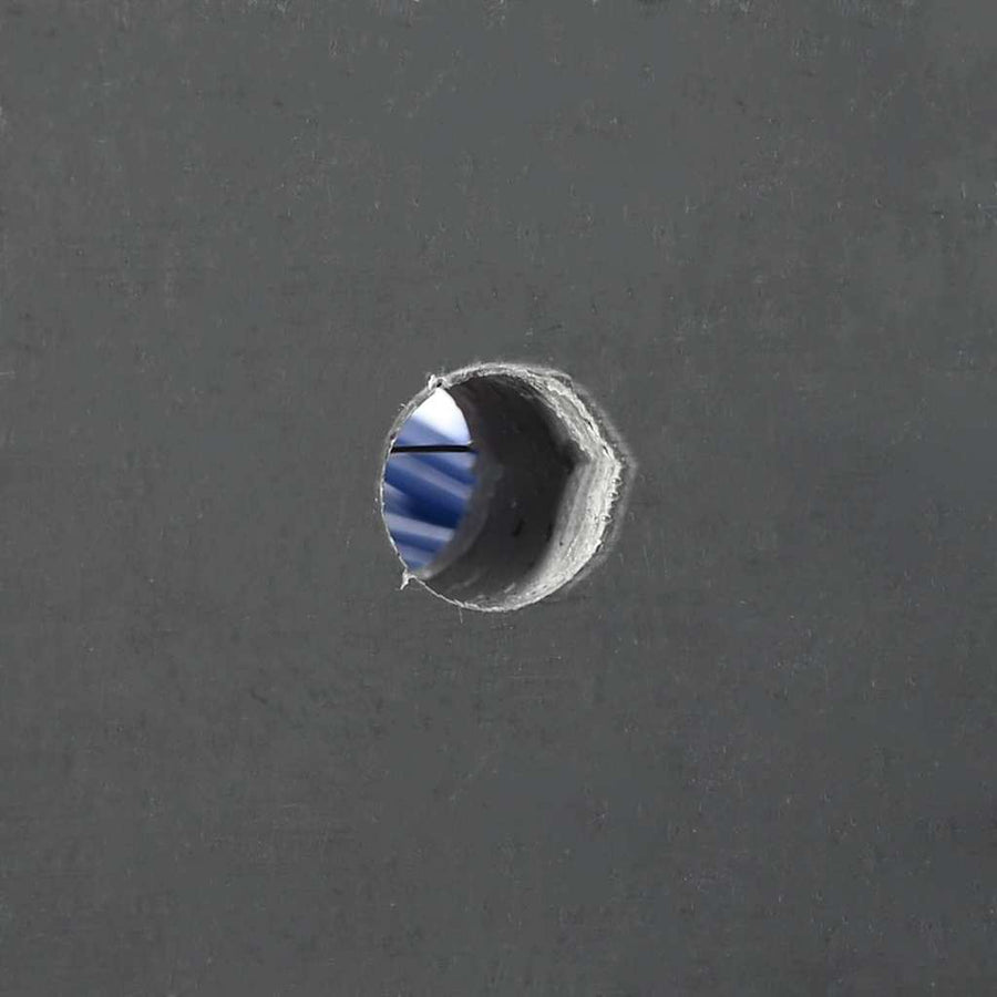 Vee borstels Rood en blauw 50 x 10 x 6.5 cm Kunststof en Staal
