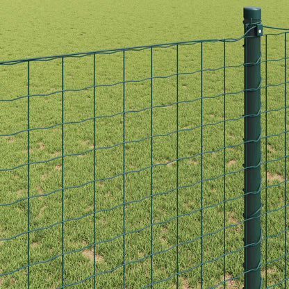 Euro Hek Groen 1,6 x 10 m PVC-gecoat ijzer