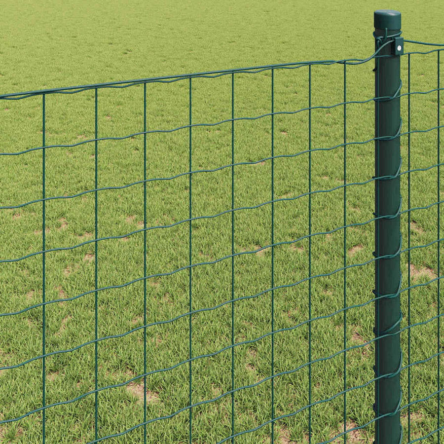 Euro Hek Groen 0,6 x 50 m PVC-gecoat ijzer
