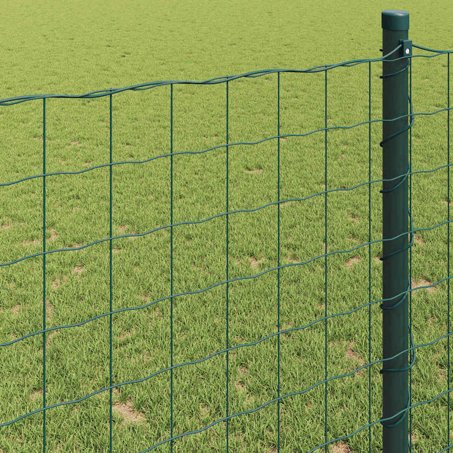Euro Hek Groen 1,6 x 10 m PVC-gecoat ijzer