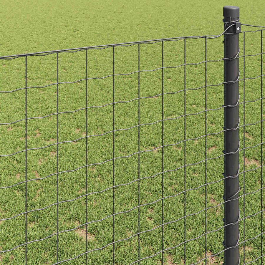 Euro Hek Grijs 1,2 x 10 m PVC-gecoat ijzer