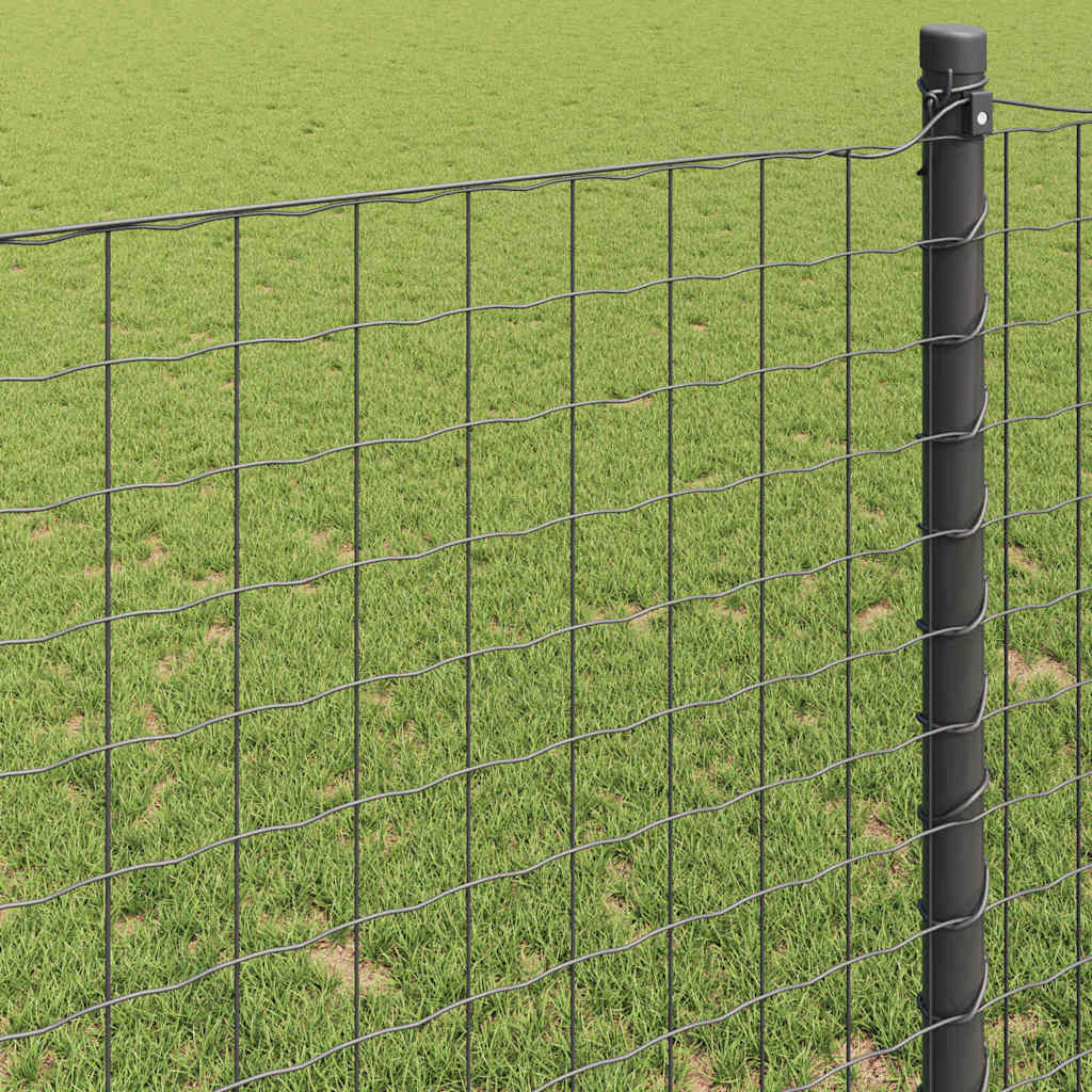 Euro Hek Grijs 1,5 x 10 m PVC-gecoat ijzer