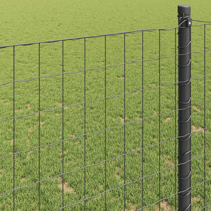 Euro Hek Grijs 0.6 x 10 m PVC-gecoat ijzer