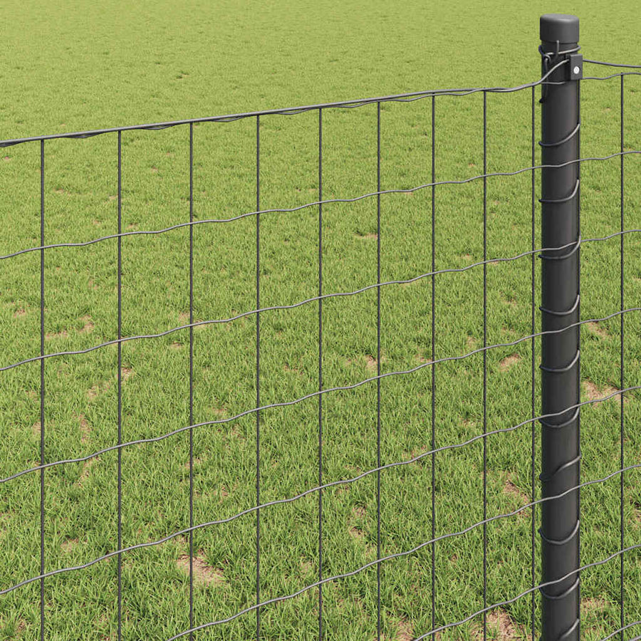 Euro Hek Grijs 1,2 x 10 m PVC-gecoat ijzer