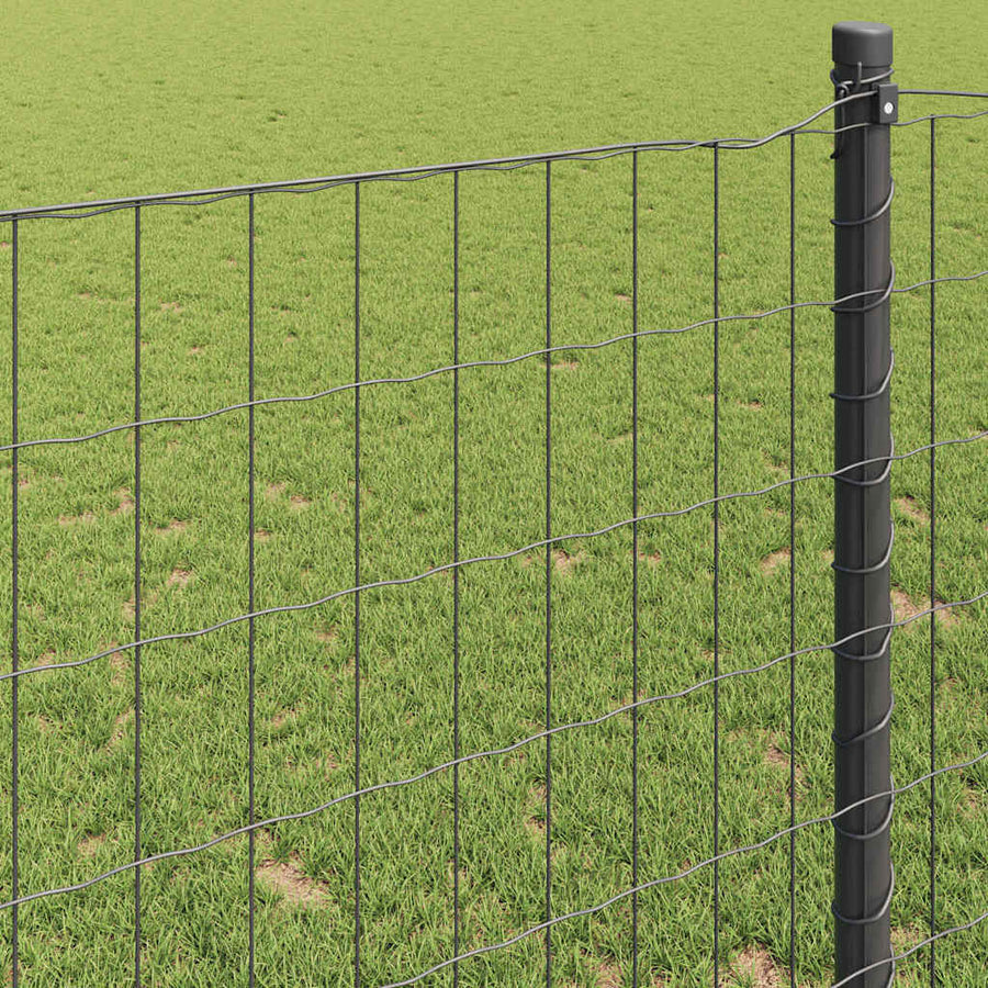 Euro Hek Grijs 0,4 x 50 m PVC-gecoat ijzer