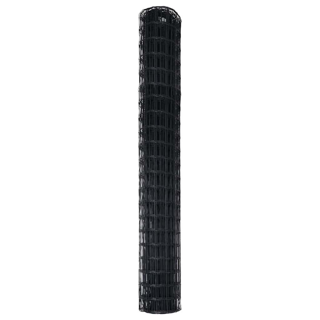 Euro Hek Zwart 1,6 x 10 m PVC-gecoat ijzer