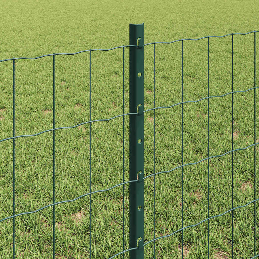 Hek Met Paal 0,6 X 25 M Staal En Pvc Groen 25 x 0,6 m schutting (5 x 10 cm gaas)