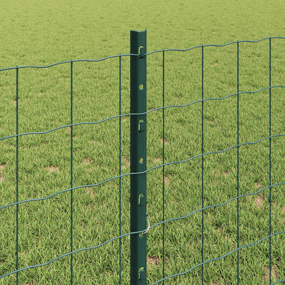 Hek Met Paal 0,8 X 25 M Staal Groen 25 x 0,8 m hek (7,7 x 6,4 cm gaas)
