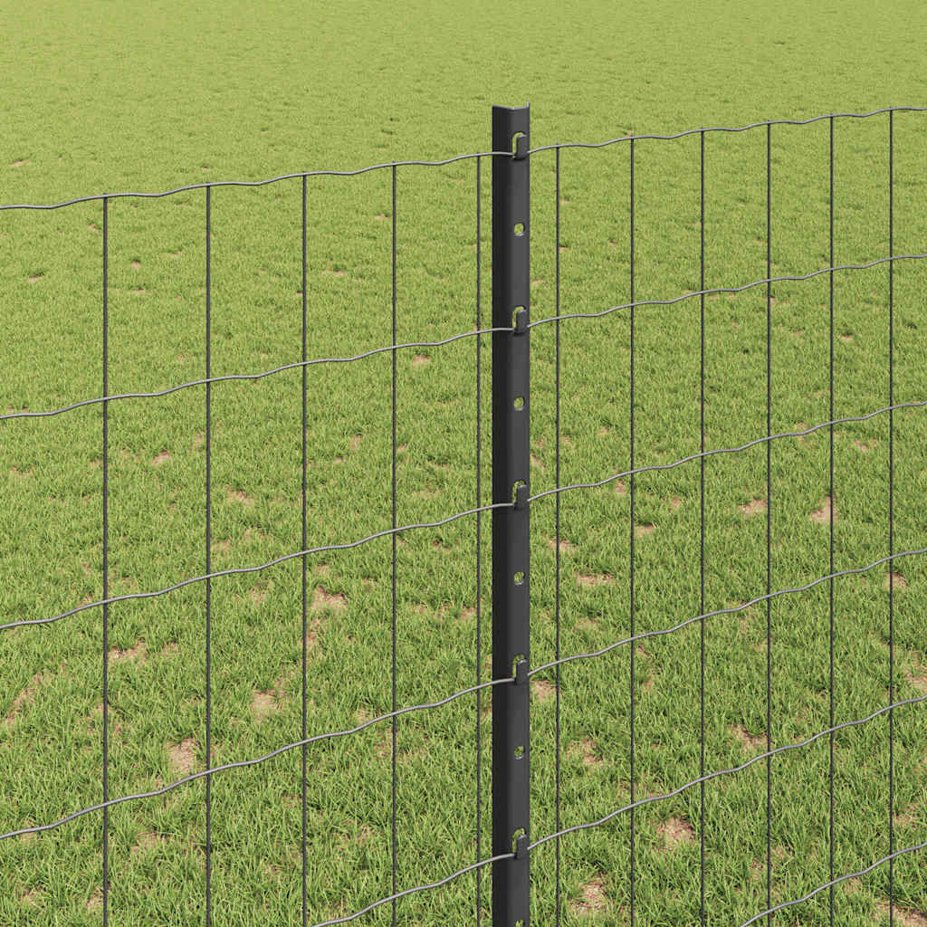 Hek met Paal Grijs 1,6 x 10 m Staal en PVC