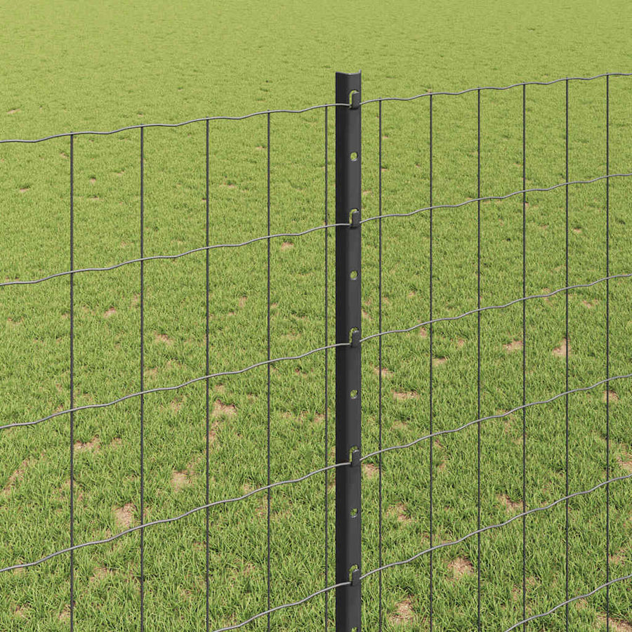 Hek met Paal Grijs 1,6 x 10 m Staal en PVC