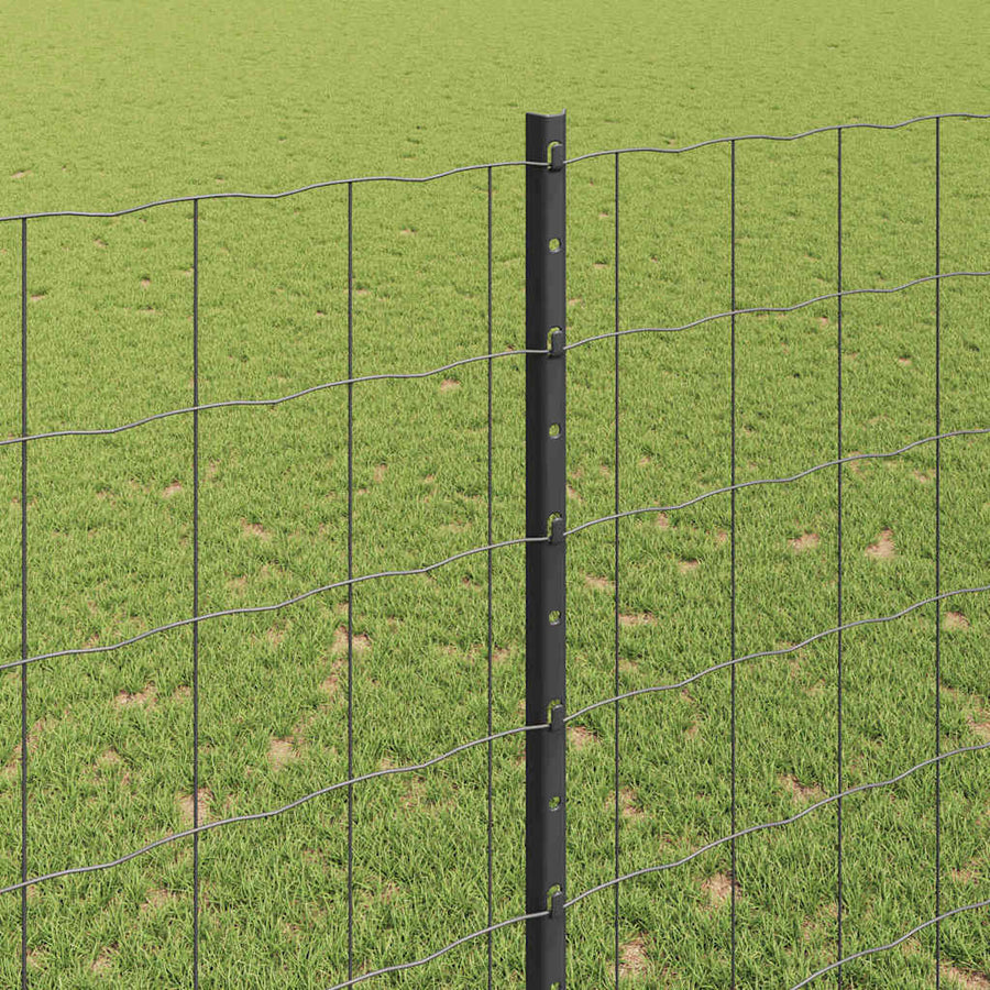 Hek met Paal Grijs 1,5 x 10 m Staal en PVC
