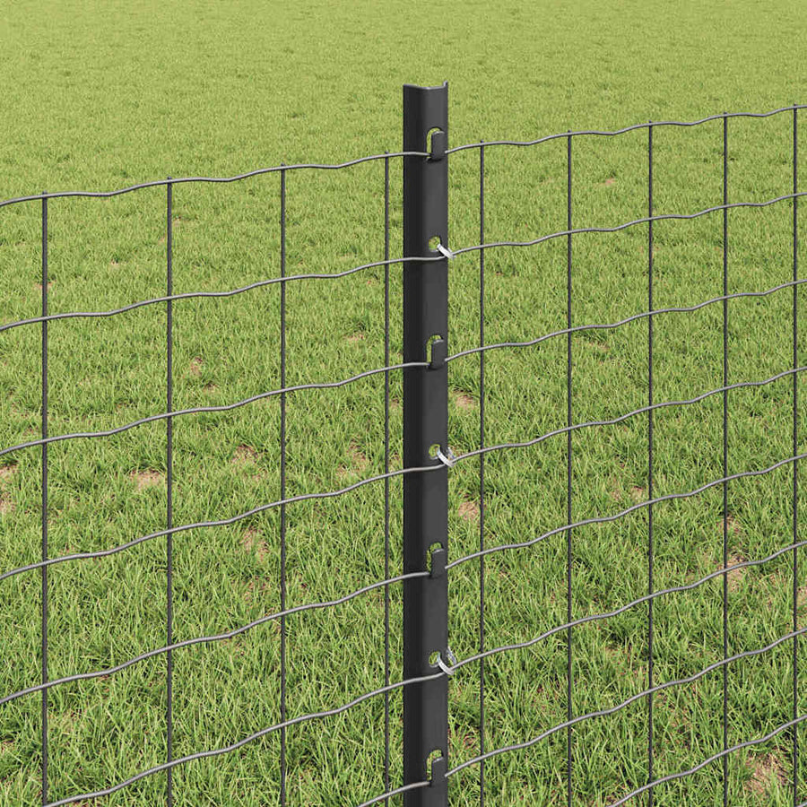 Hek met Paal Grijs 0,8 x 25 m Staal en PVC