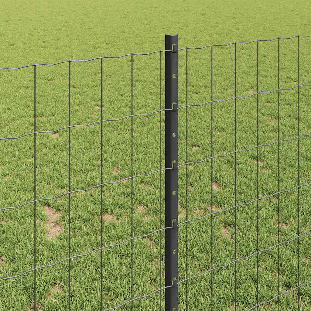 Hek met Paal Grijs 1 x 25 m Staal en PVC