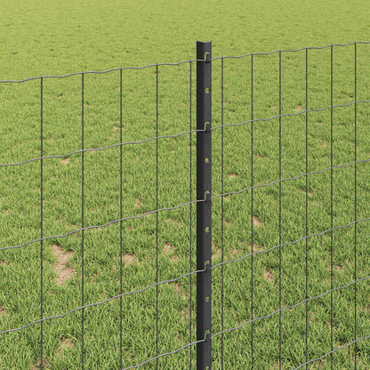 Hek met Paal Grijs 1 x 25 m Staal en PVC