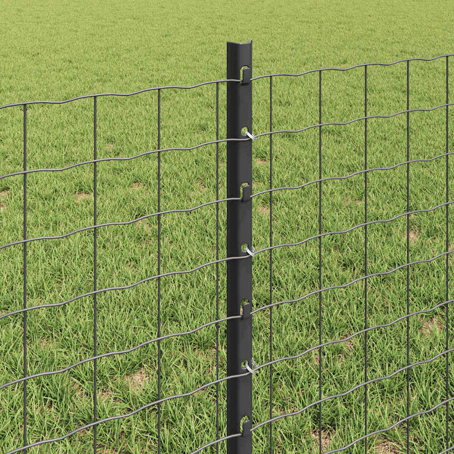 Hek met Paal Grijs 0,6 x 50 m Staal en PVC