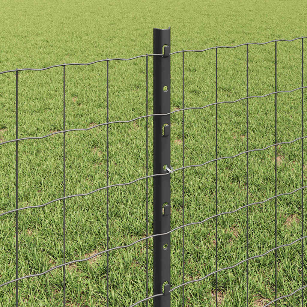 Hek met Paal Grijs 0,6 x 50 m Staal en PVC