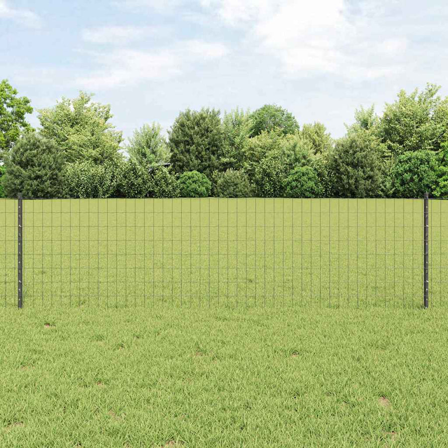 Hek met Paal Grijs 0,6 x 50 m Staal en PVC