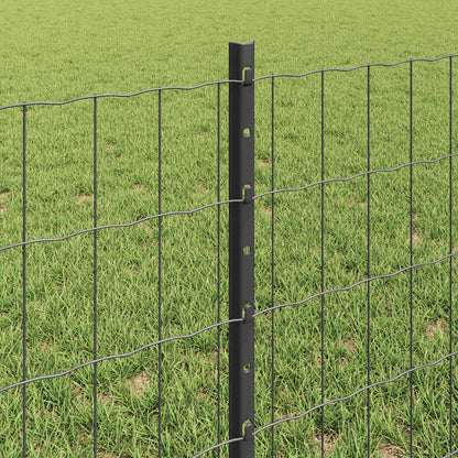 Hek met Paal Grijs 0,6 x 50 m Staal en PVC