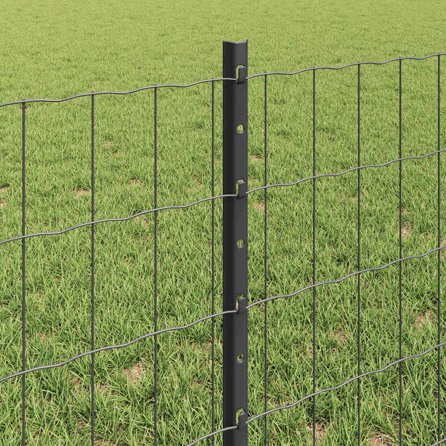 Hek met Paal Grijs 0,6 x 50 m Staal en PVC