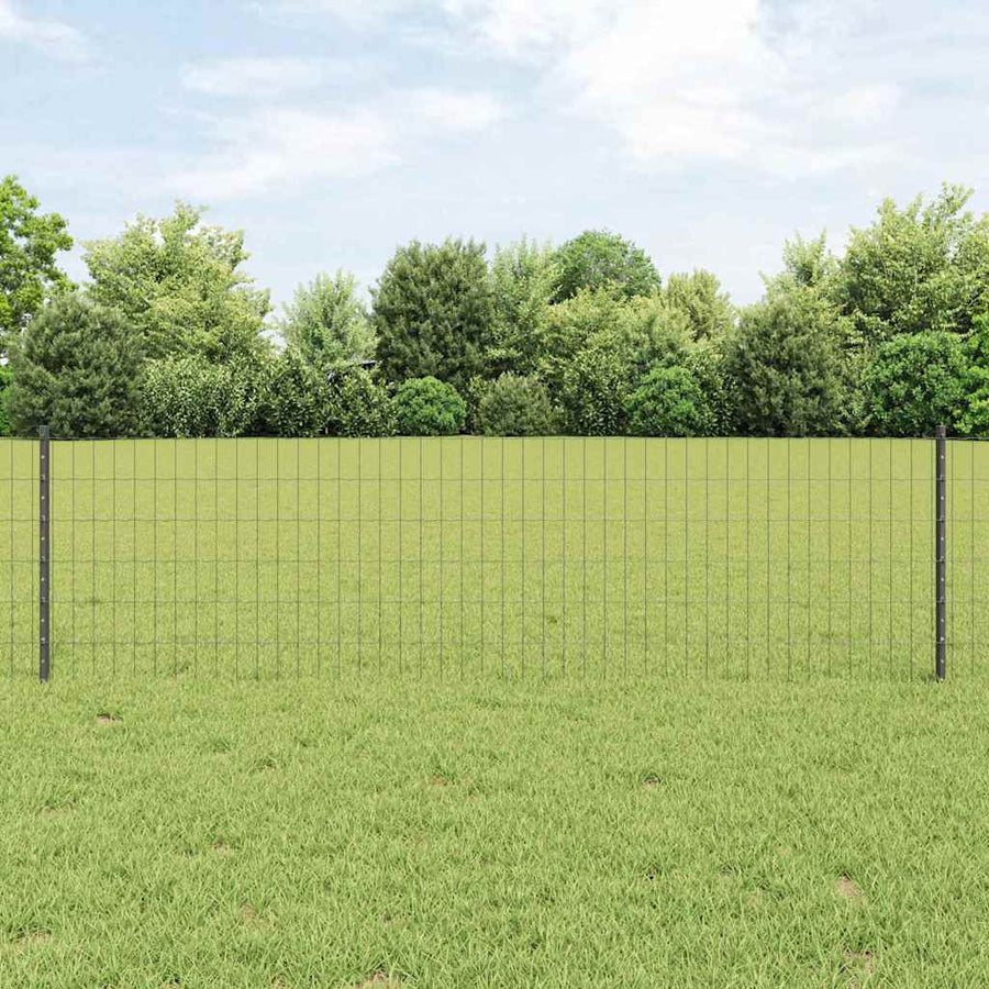 Hek met Paal Grijs 0,6 x 50 m Staal en PVC
