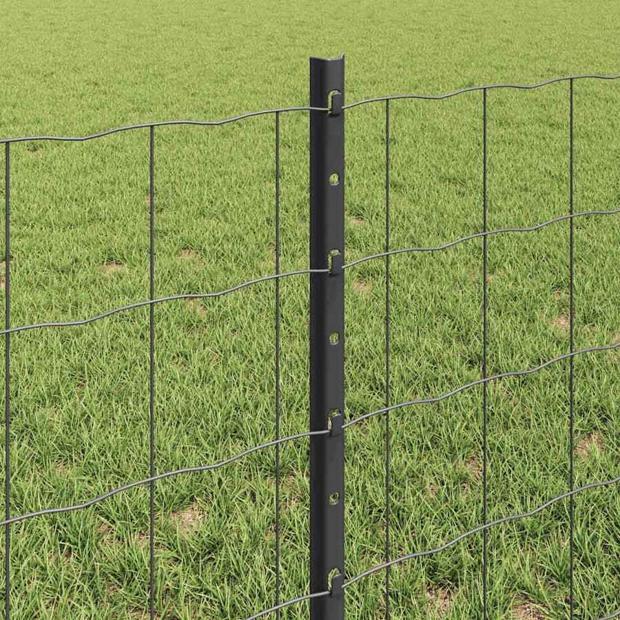 Hek met Paal Grijs 0,6 x 50 m Staal en PVC