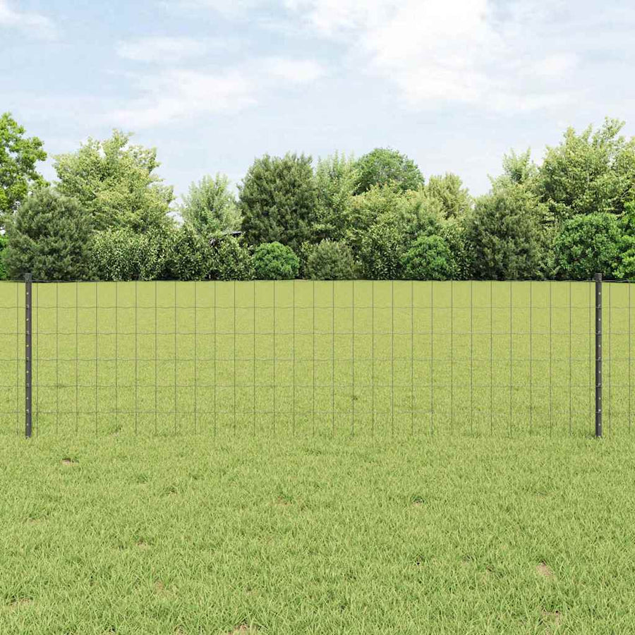 Hek met Paal Grijs 0,6 x 50 m Staal en PVC