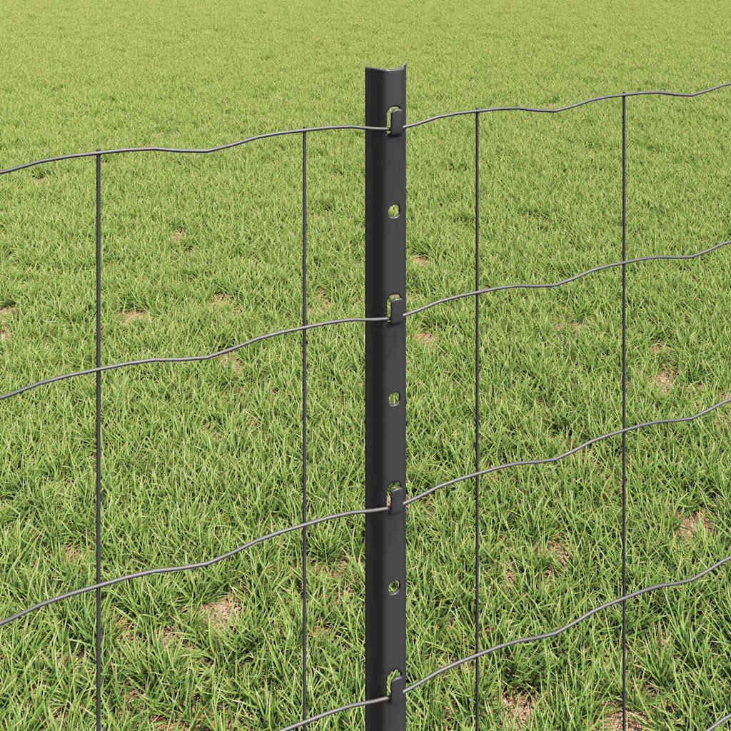 Hek met Paal Grijs 0,6 x 50 m Staal en PVC