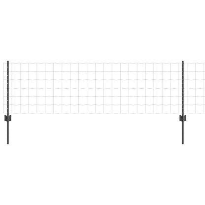 Hek met Paal Grijs 0,6 x 50 m Staal en PVC