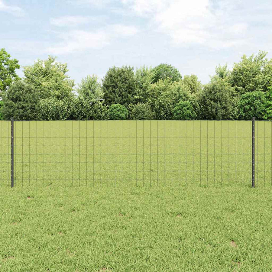 Hek met Paal Grijs 0,6 x 25 m Staal en PVC