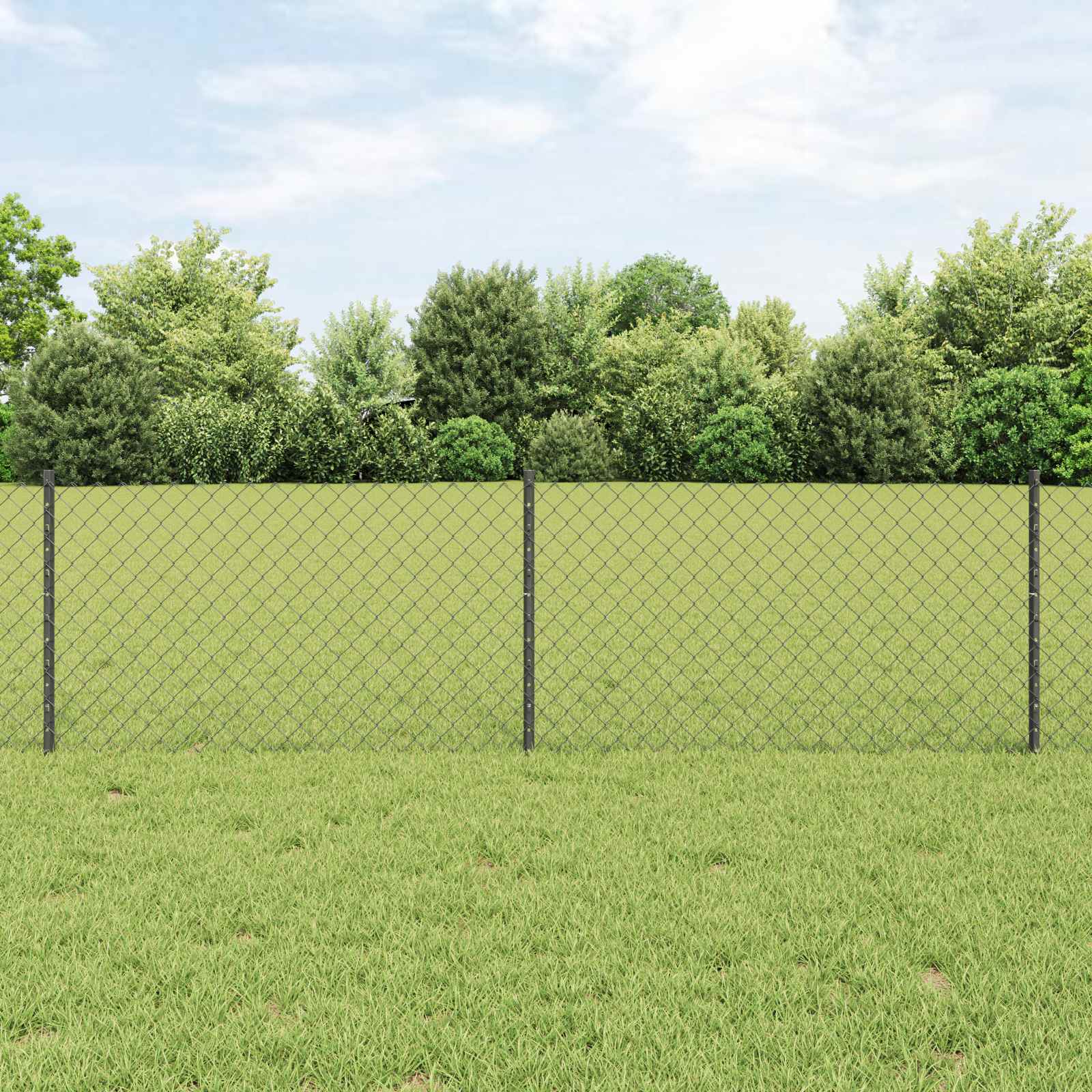 Hek met Paal Grijs 0,6 x 25 m Staal en PVC