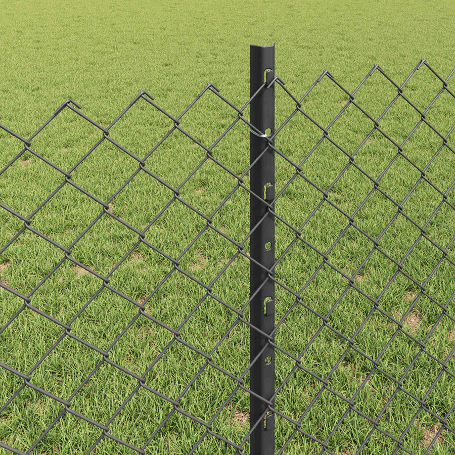 Hek met Paal Grijs 0,8 x 25 m Staal en PVC