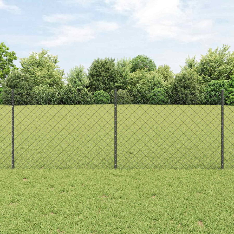 Hek met Paal Grijs 0,8 x 25 m Staal en PVC