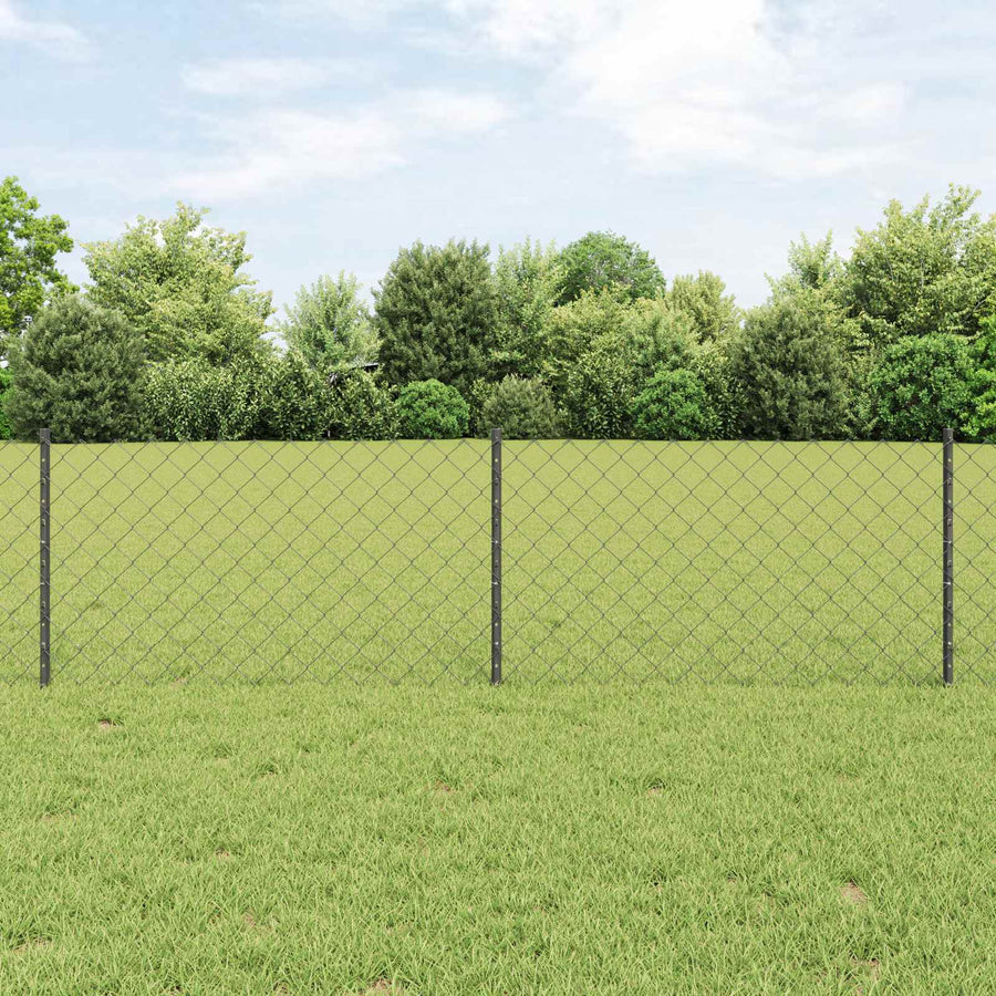 Hek met Paal Grijs 0,6 x 25 m Staal en PVC
