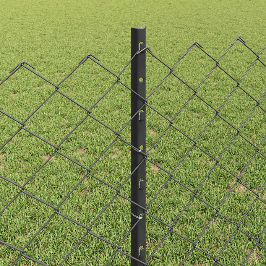 Hek met Paal Grijs 0,8 x 25 m Staal